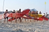 ry%3D1063_119