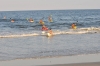 ry%3D1063_124