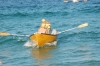 OB II 2014 053