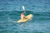 OB II 2014 080