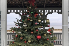 20181124_180034260_iOS