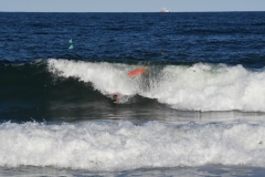 JMG_0517_st