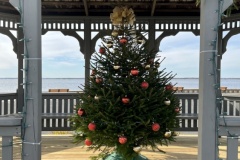 02_20231125_170313120_iOS_00002adj