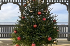 03_20231125_170409235_iOS_00003adj