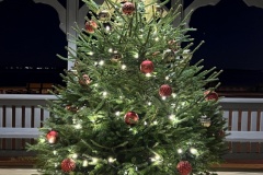 JMG_4336b-20231125_224724704_iOS_00002adj