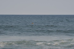JMG_3283