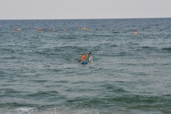 JMG_6008